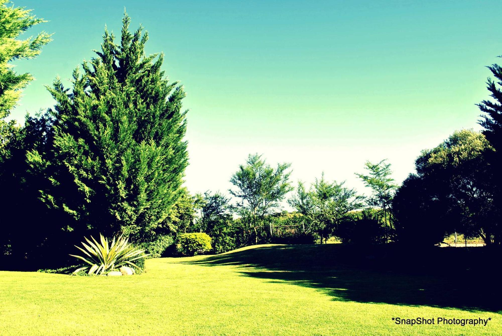 Kududu Guest House Addo Esterno foto