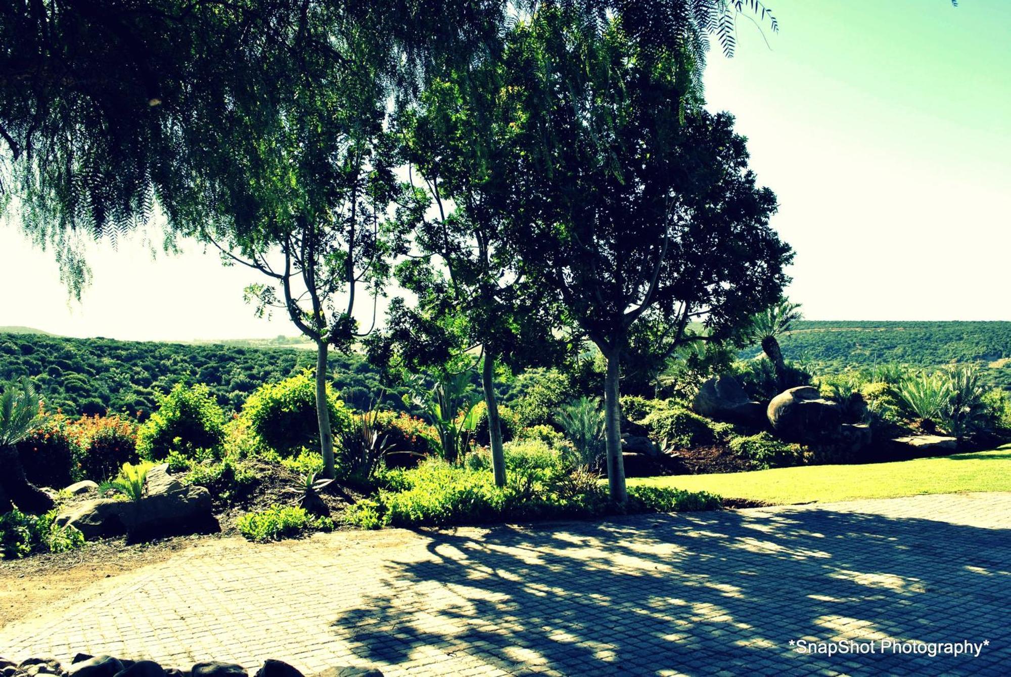Kududu Guest House Addo Esterno foto