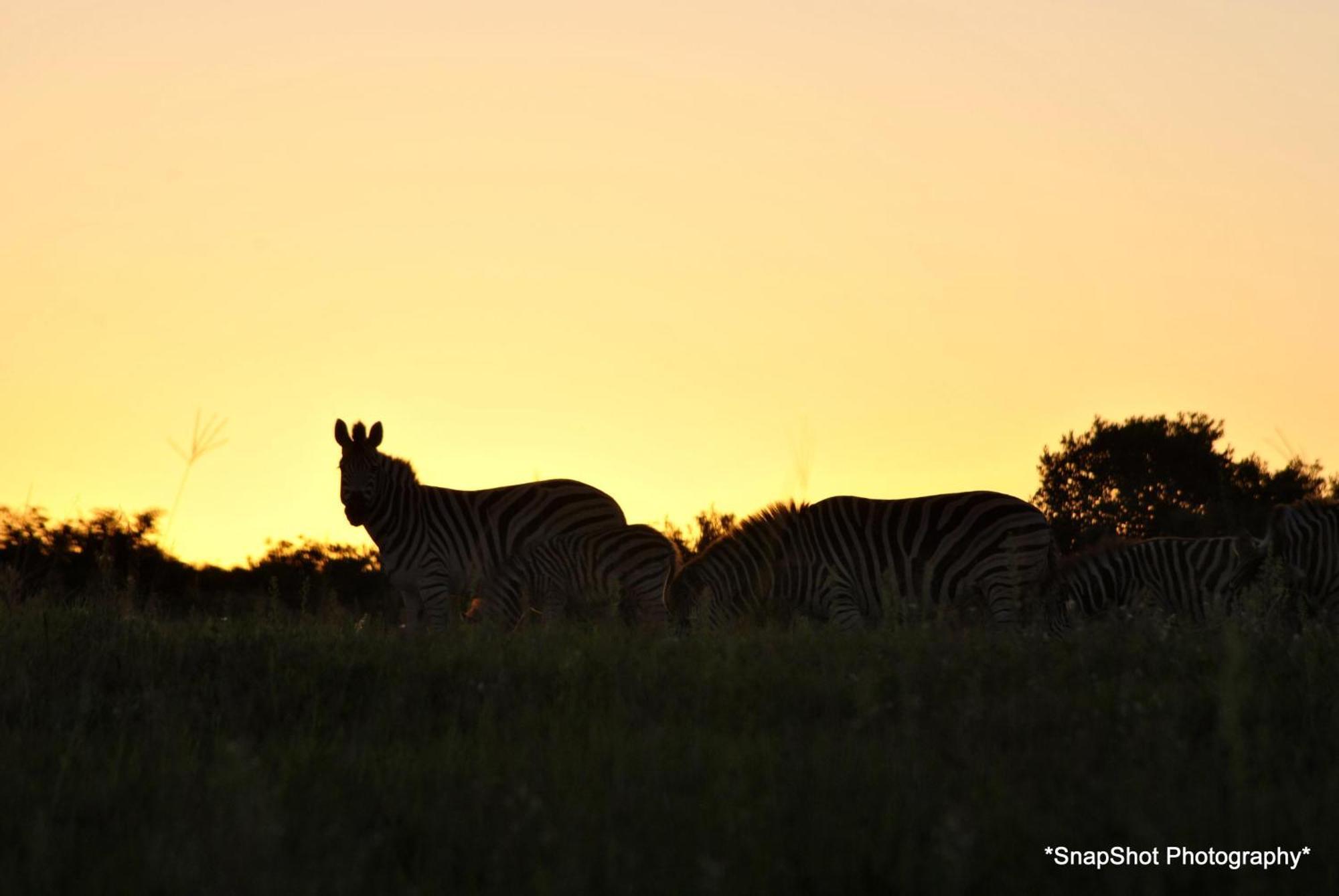 Kududu Guest House Addo Esterno foto