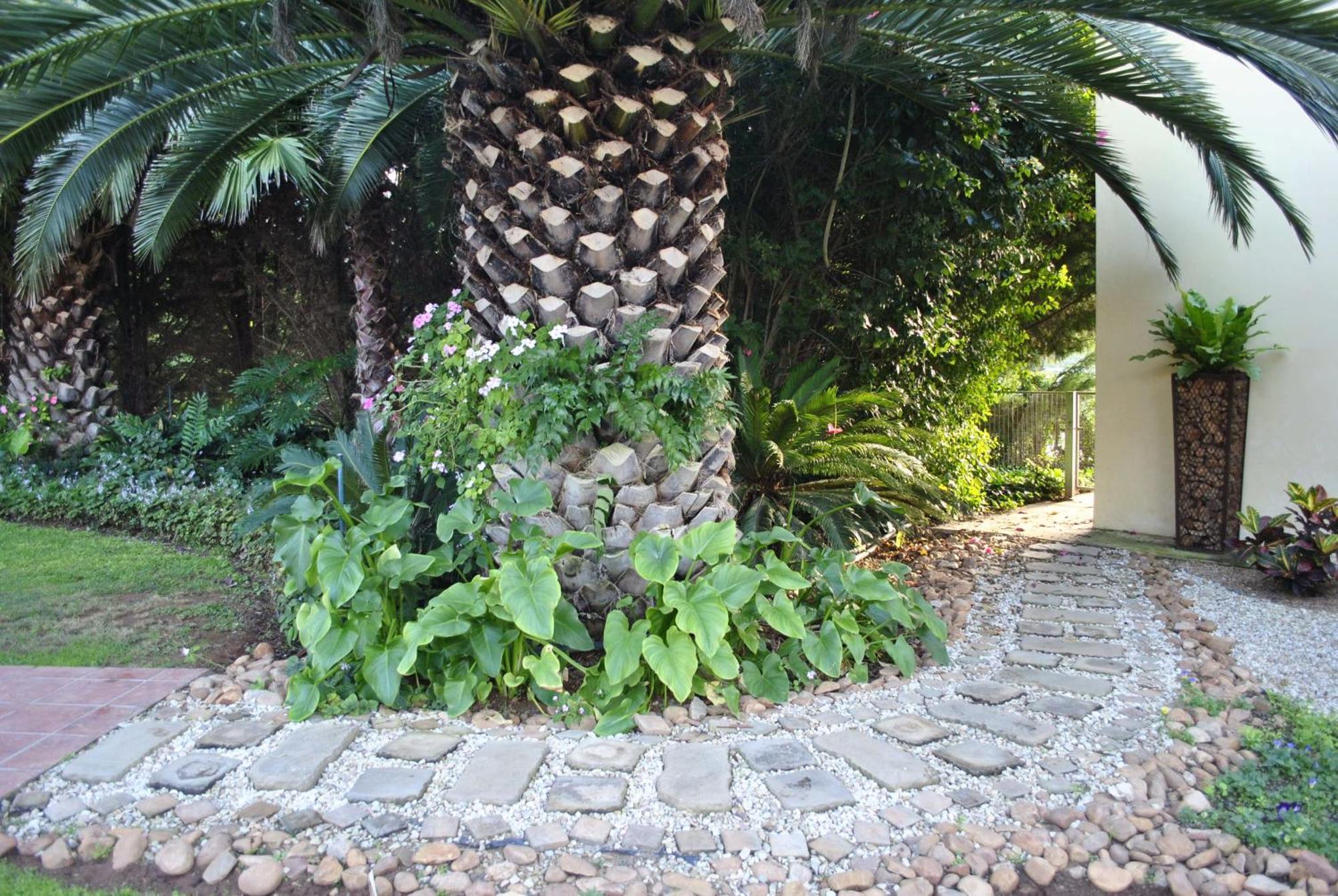 Kududu Guest House Addo Esterno foto