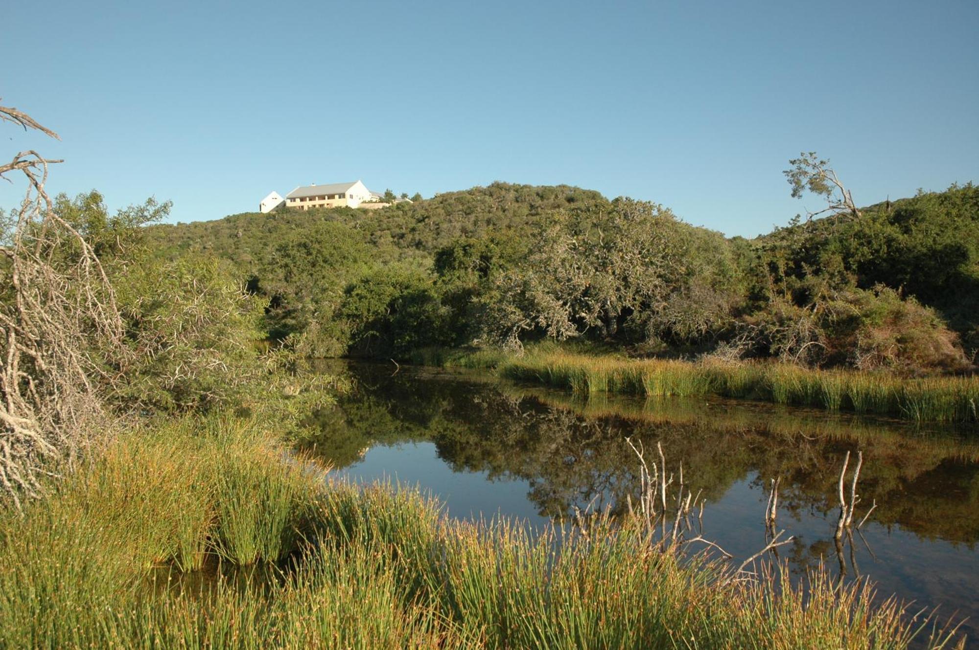 Kududu Guest House Addo Esterno foto